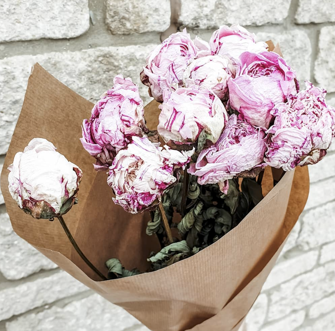 Letter box flowers isabloom